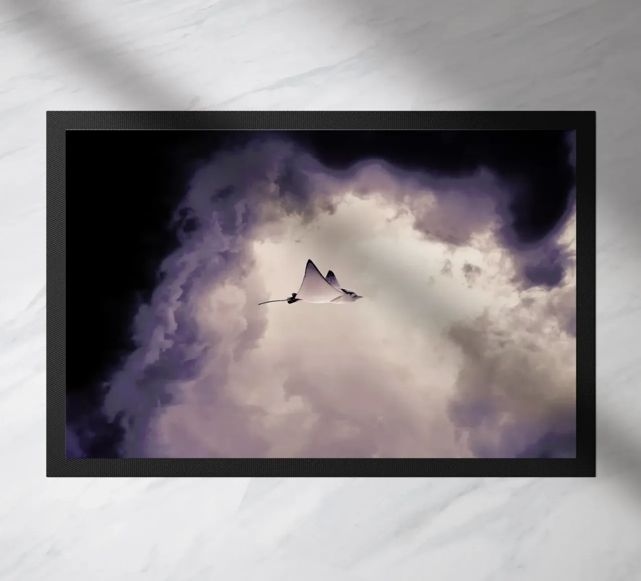 Lltt zerbino da Eugene Soloviev