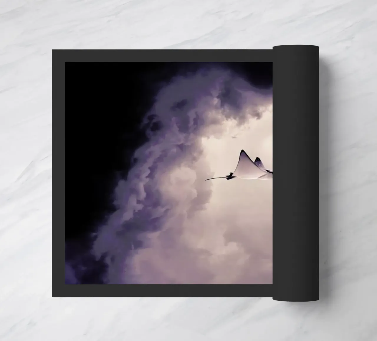 Lltt zerbino da Eugene Soloviev