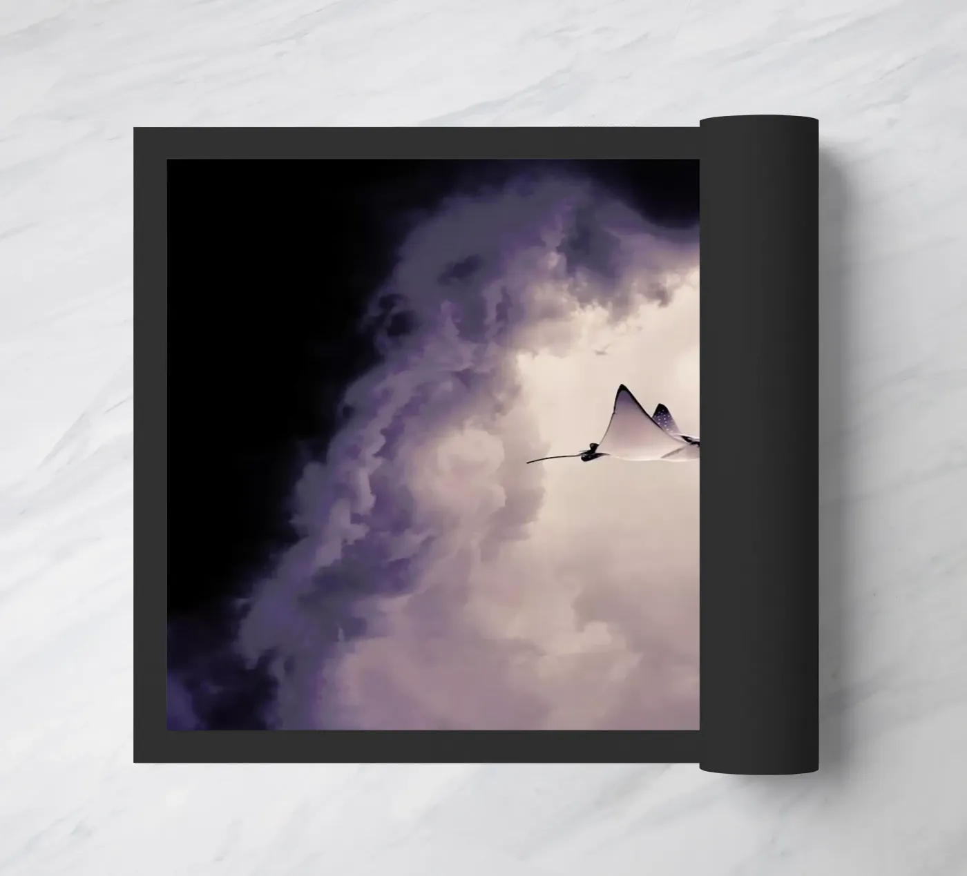 Lltt zerbino da Eugene Soloviev