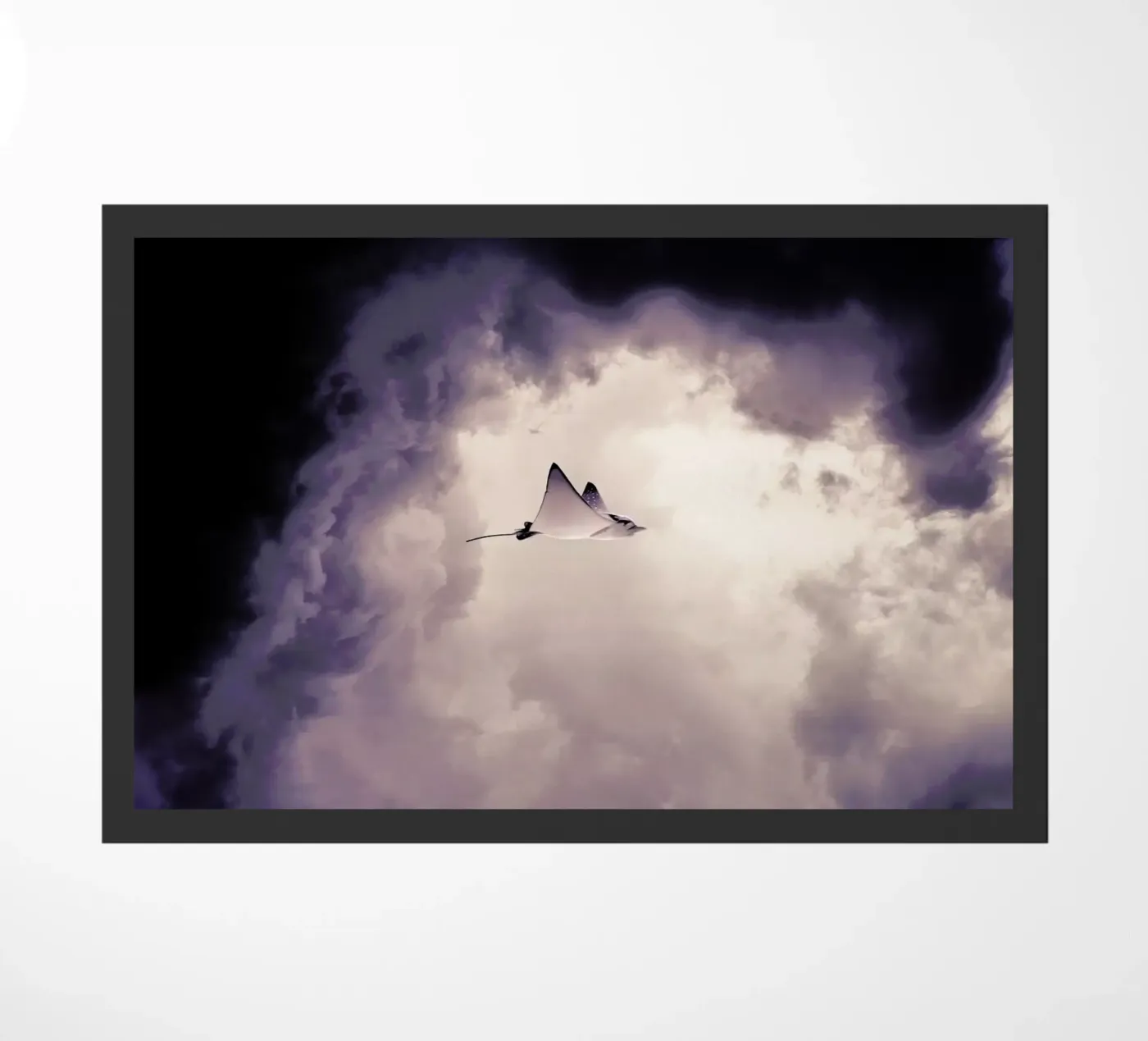 Lltt zerbino da Eugene Soloviev