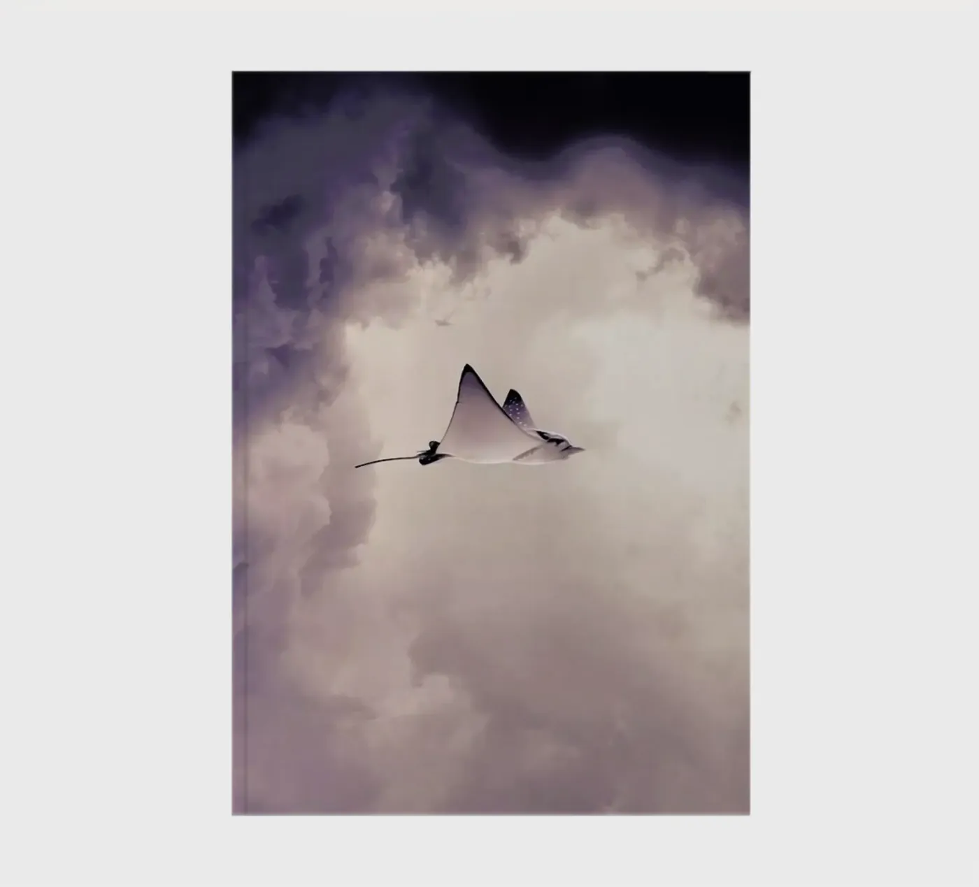 Lltt notebook by Eugene Soloviev