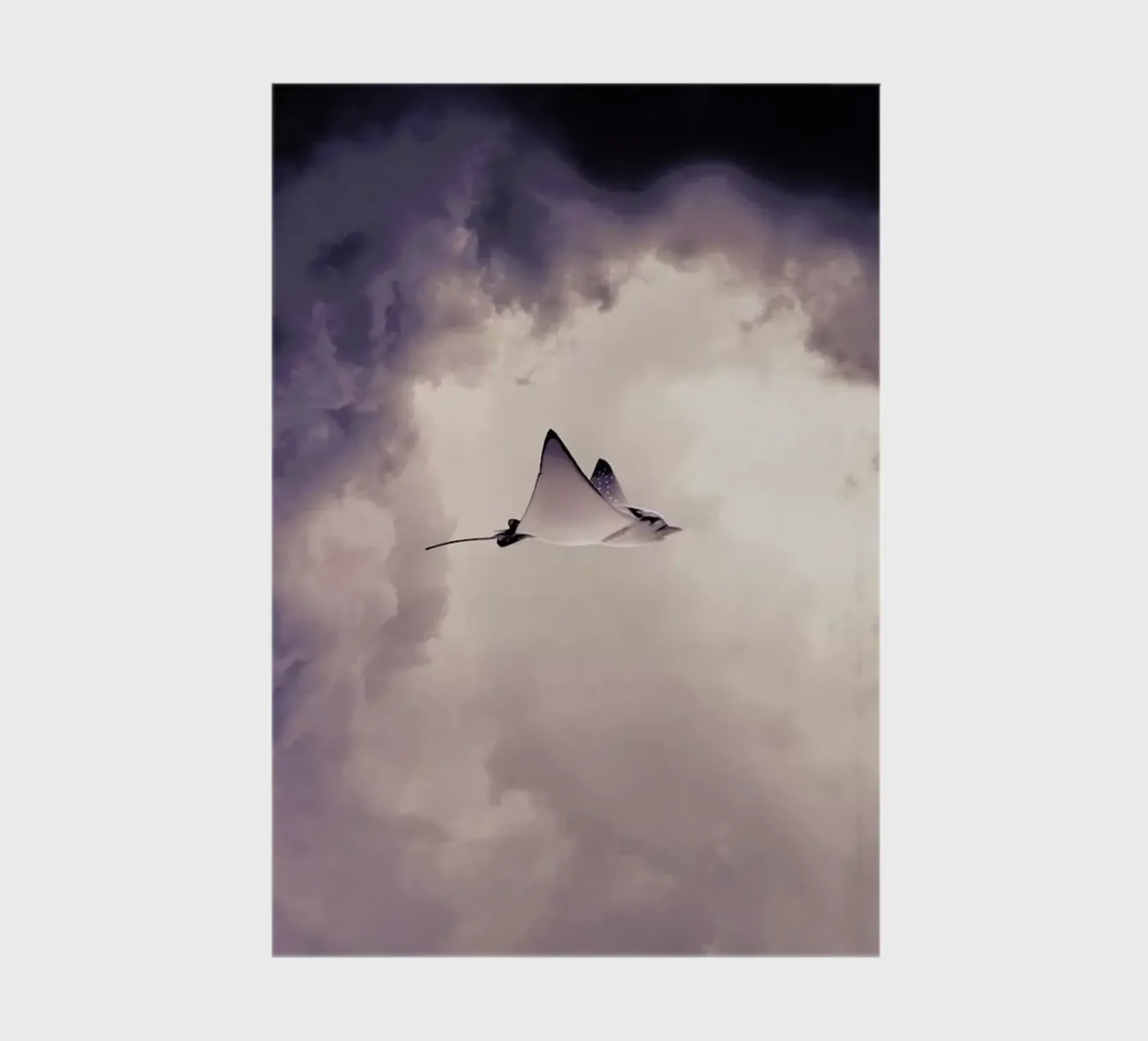 Lltt notebook by Eugene Soloviev