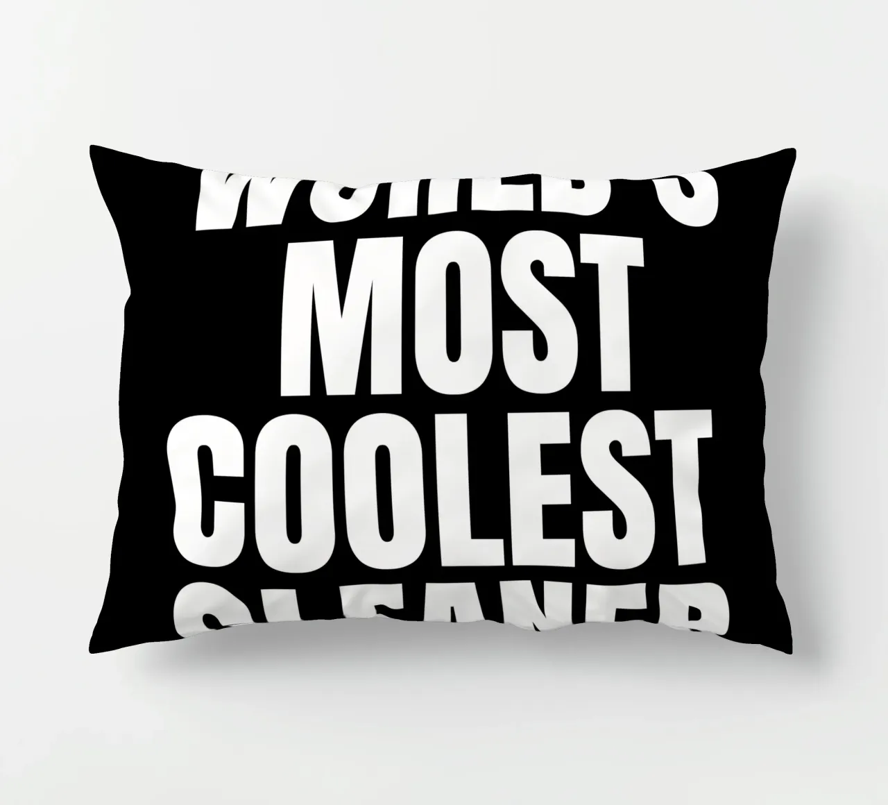 World's most coolest cleaner cuscino da happieeagle