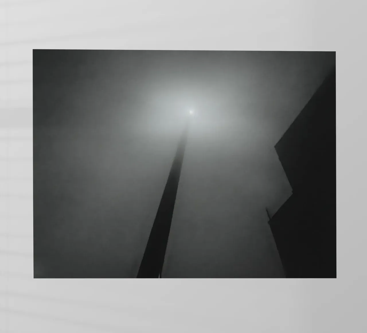 Nebbia mistica pellicola backlit da Black & White