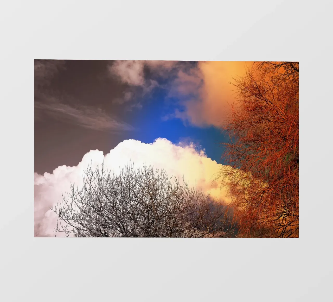 FAA114 pvc cover by Thierry vobmann photography
