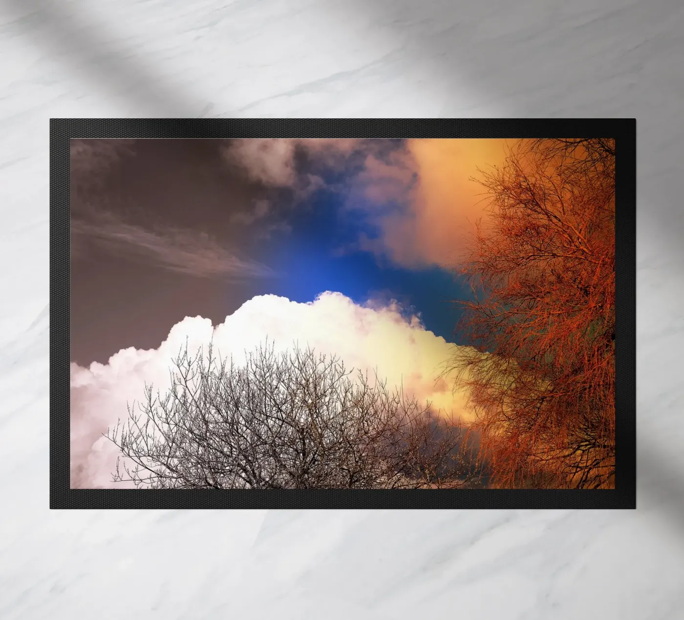 FAA114 zerbino da Thierry vobmann photography