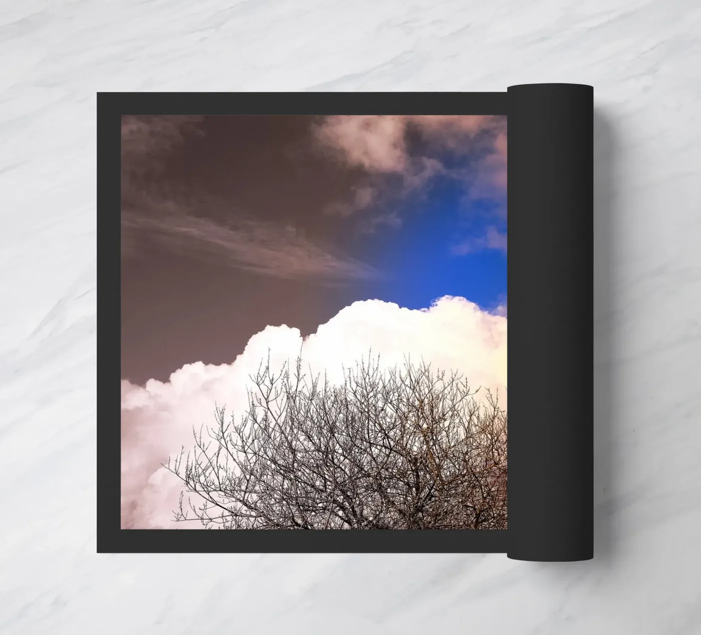 FAA114 zerbino da Thierry vobmann photography