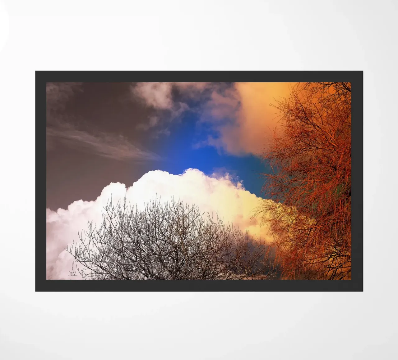 FAA114 zerbino da Thierry vobmann photography