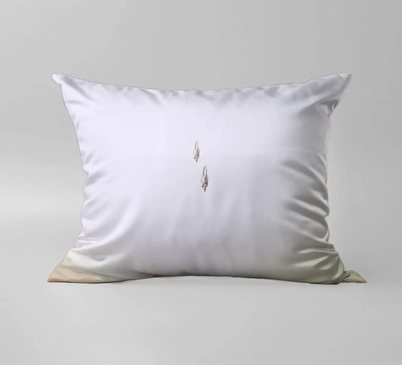 Descent of two skydivers over an alien red desert planet Kissen von Stoian Hitrov