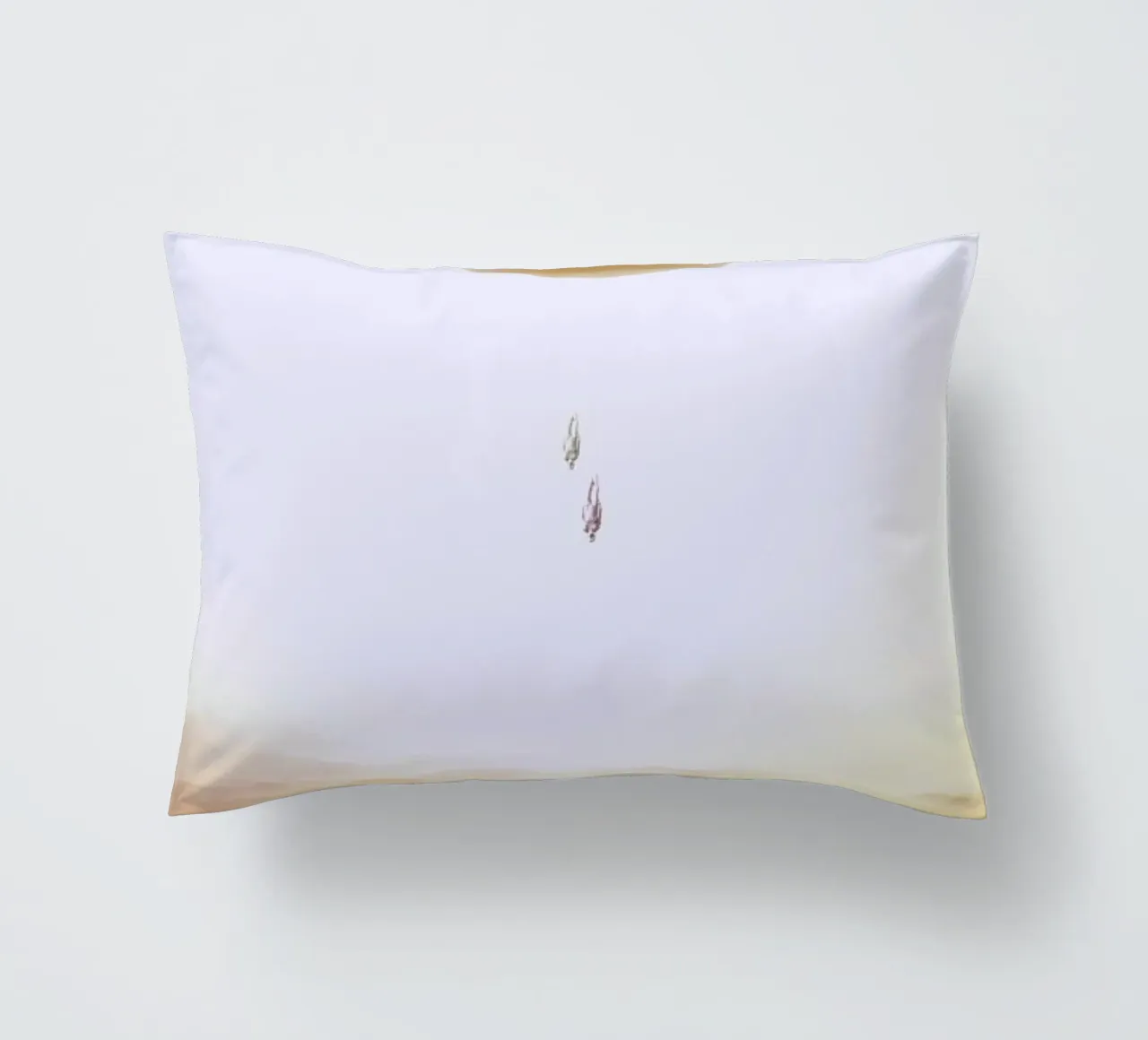 Descent of two skydivers over an alien red desert planet Kissen von Stoian Hitrov