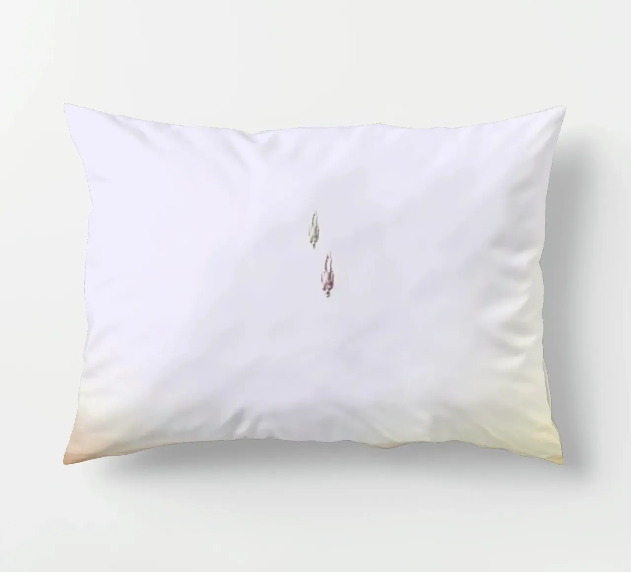 Descent of two skydivers over an alien red desert planet Kissen von Stoian Hitrov