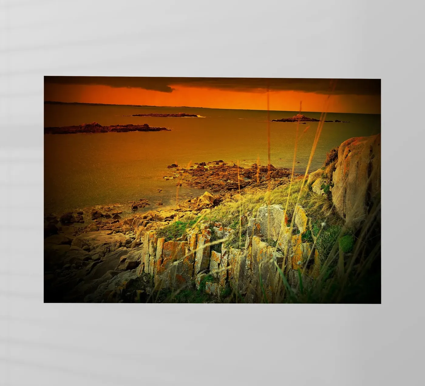 FAA115 pellicola backlit da Thierry vobmann photography