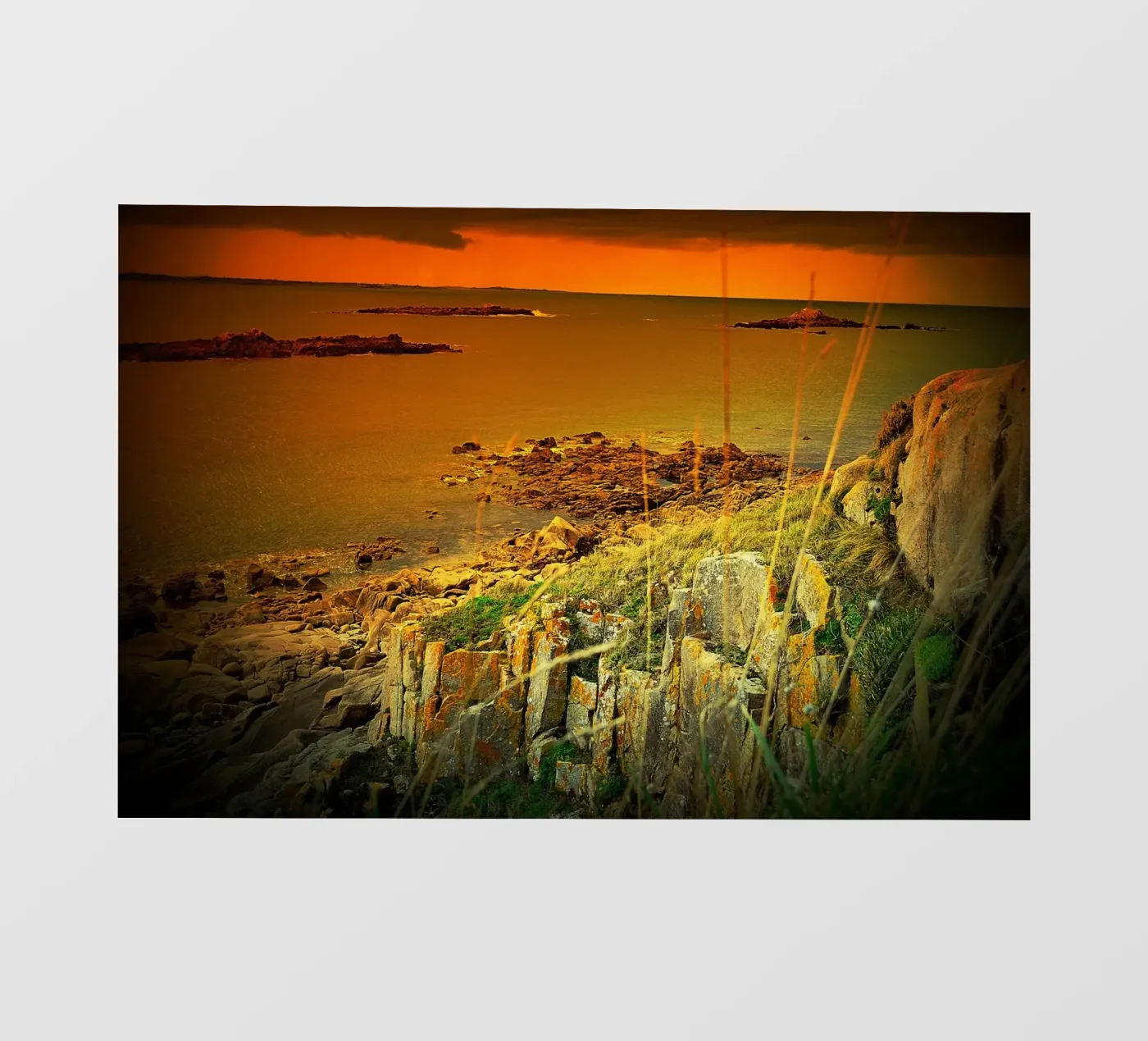 FAA115 pellicola backlit da Thierry vobmann photography