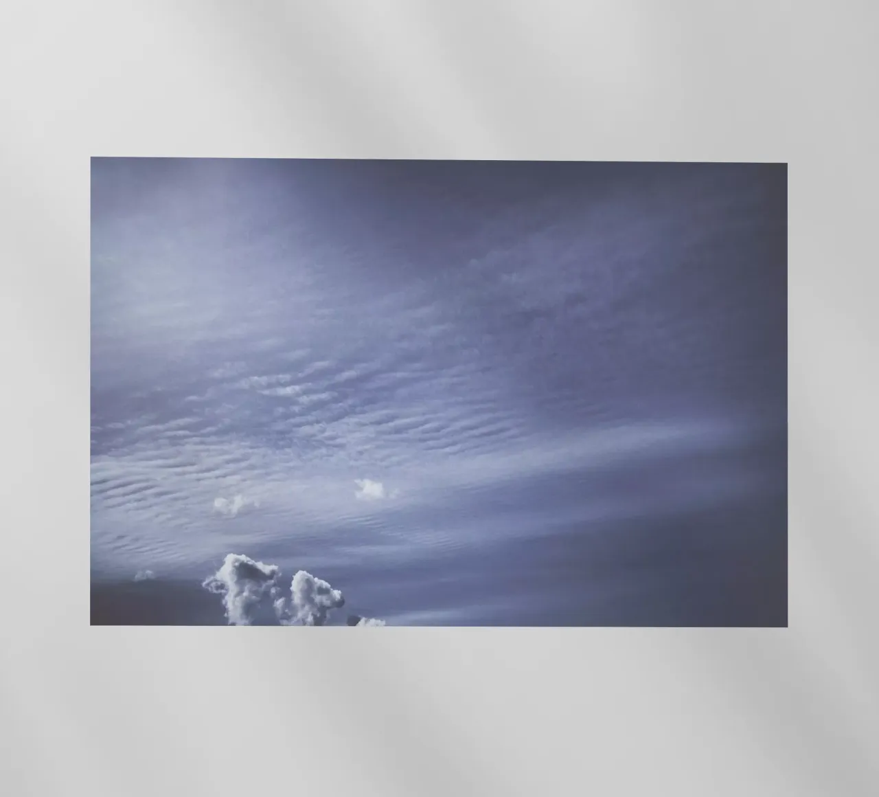 The Swell pellicola backlit da Pale Grain