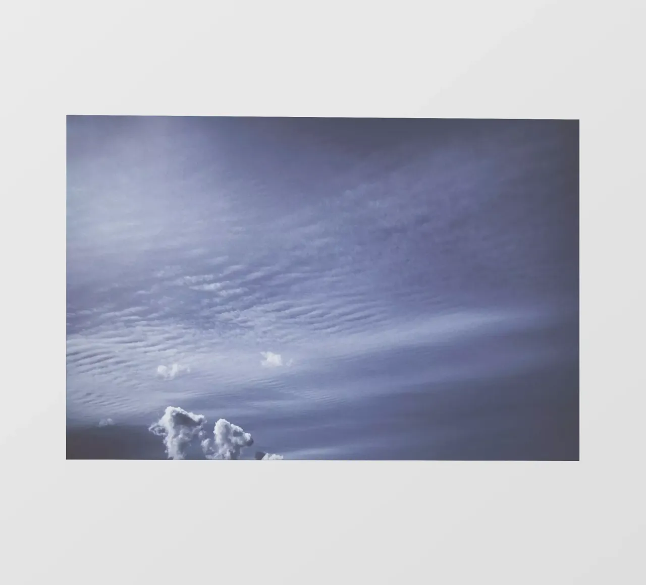The Swell pellicola backlit da Pale Grain
