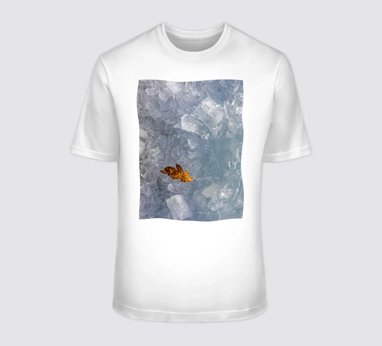 Foglie d'autunno nel ghiaccio - elementi naturali a fuoco t-shirt da Whole©