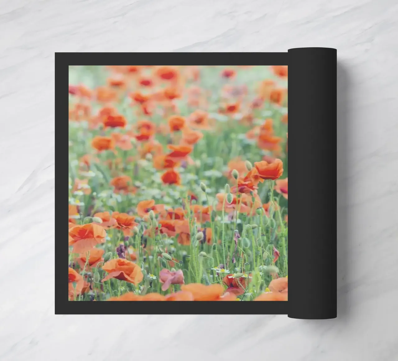 Campi rossi - Una storia d'amore scritta con i papaveri zerbino da Curious Collections by Marielle Leenders