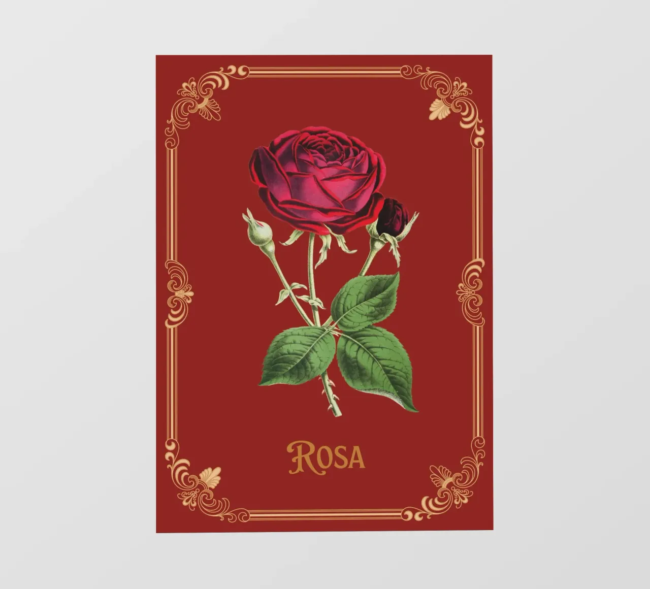 Rosa telo in pvc da Luna & Noctua
