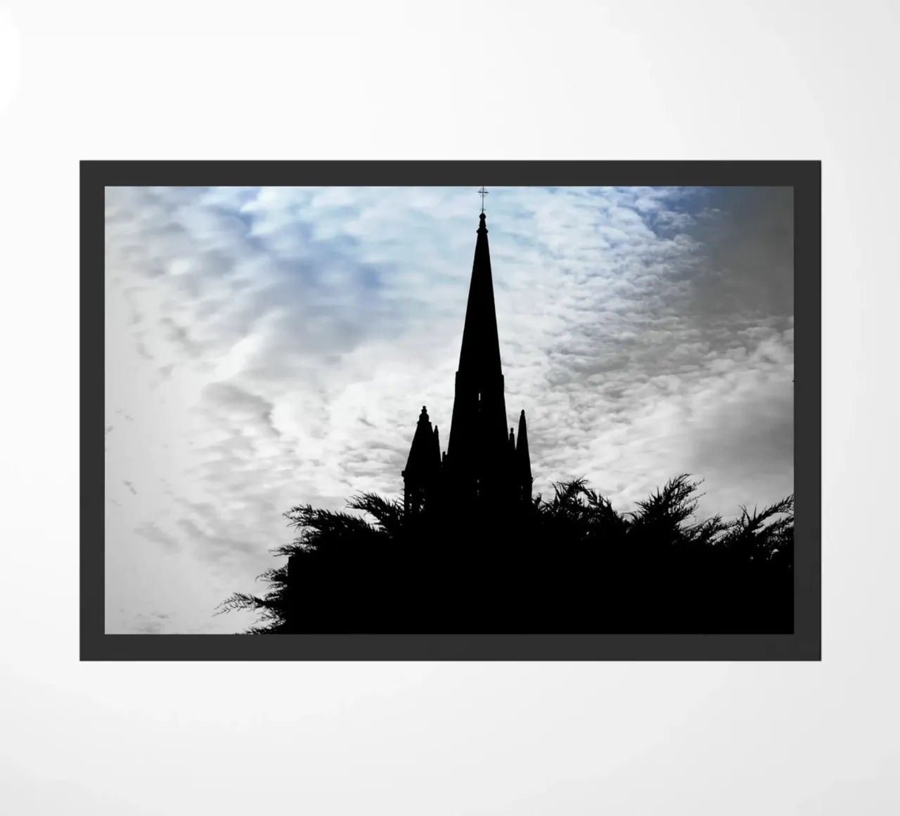 FAA117 zerbino da Thierry vobmann photography