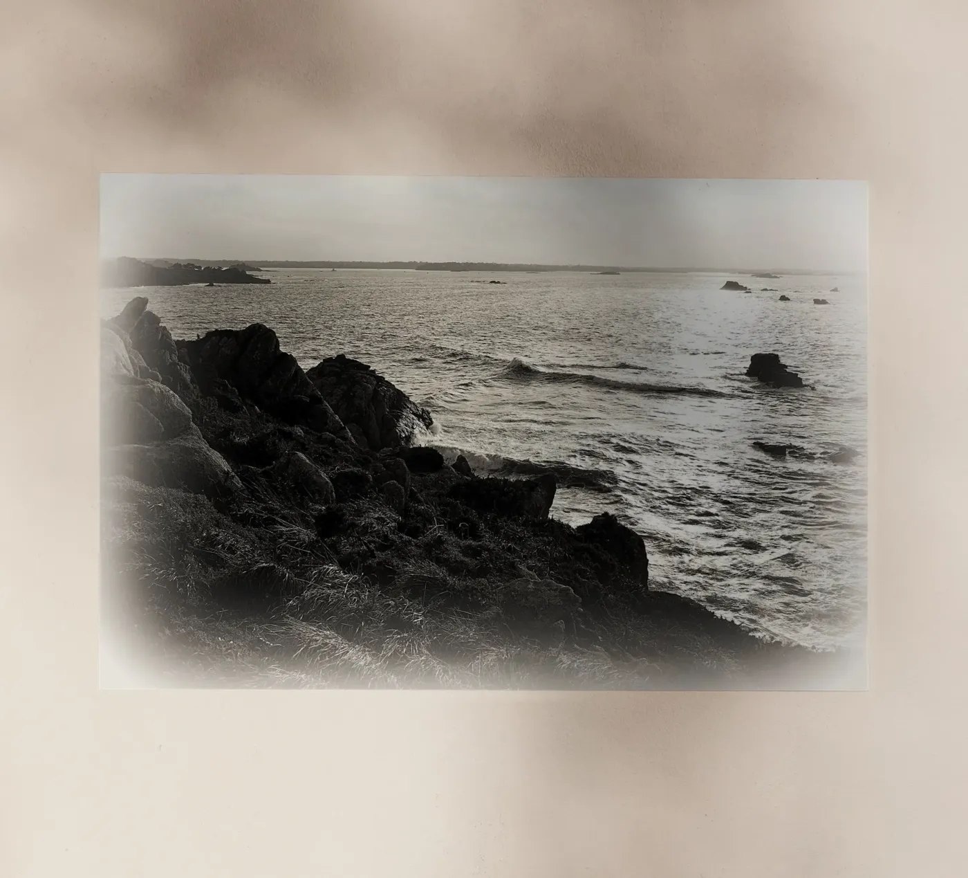 FAA118 pellicola backlit da Thierry vobmann photography