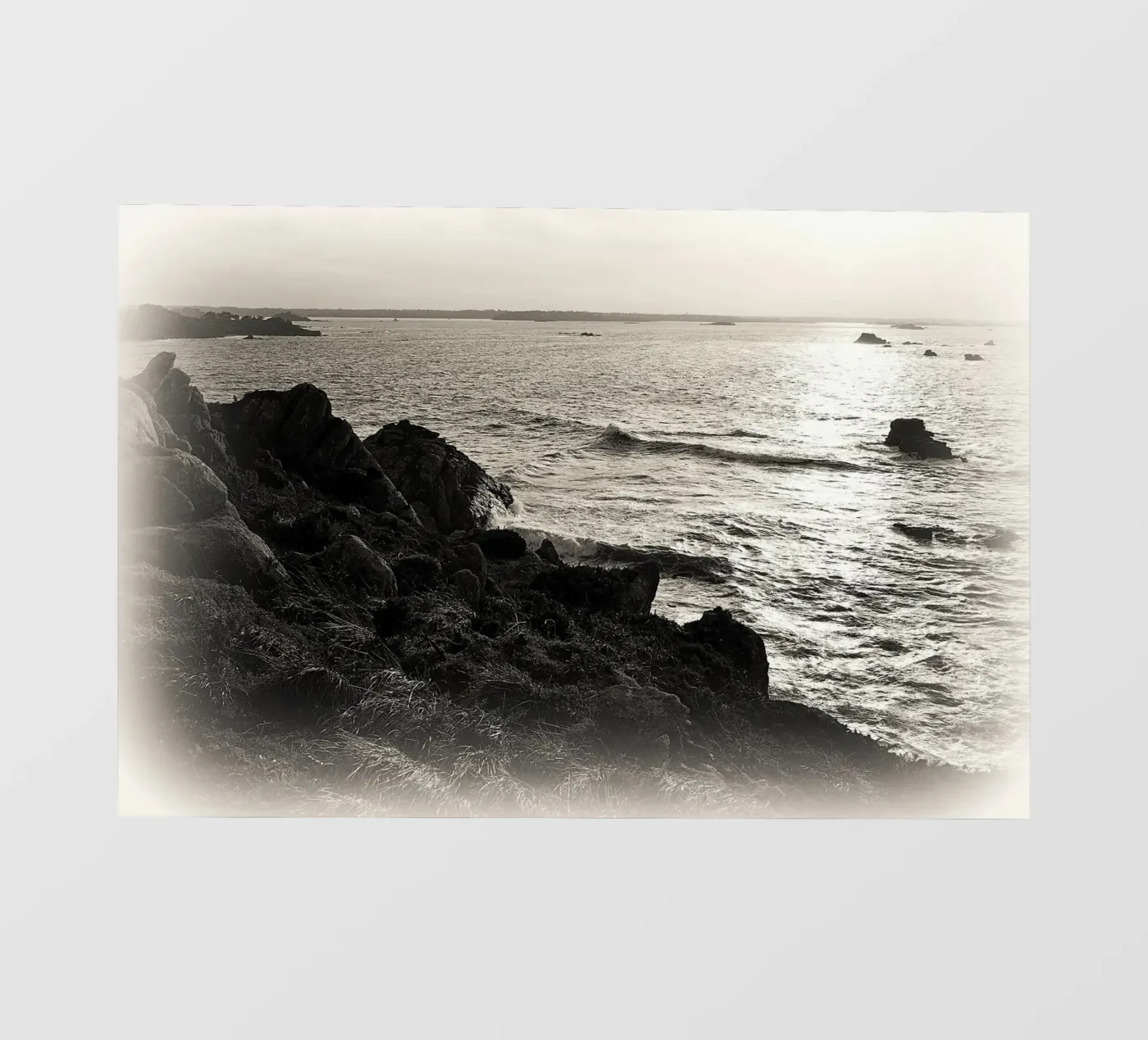 FAA118 pellicola backlit da Thierry vobmann photography