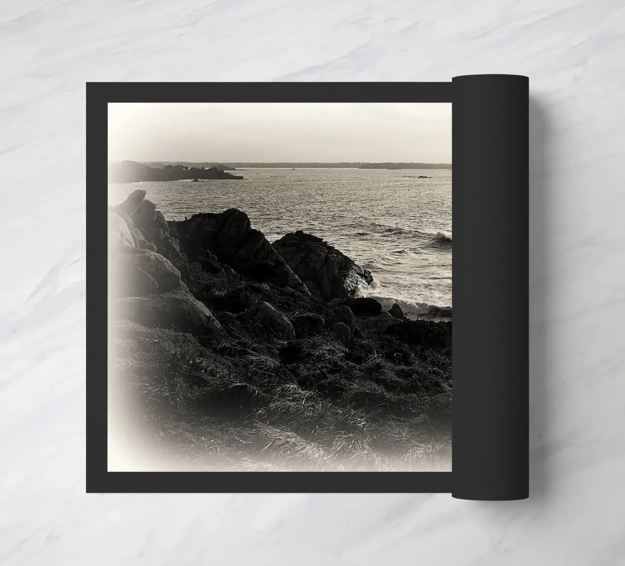 FAA118 zerbino da Thierry vobmann photography