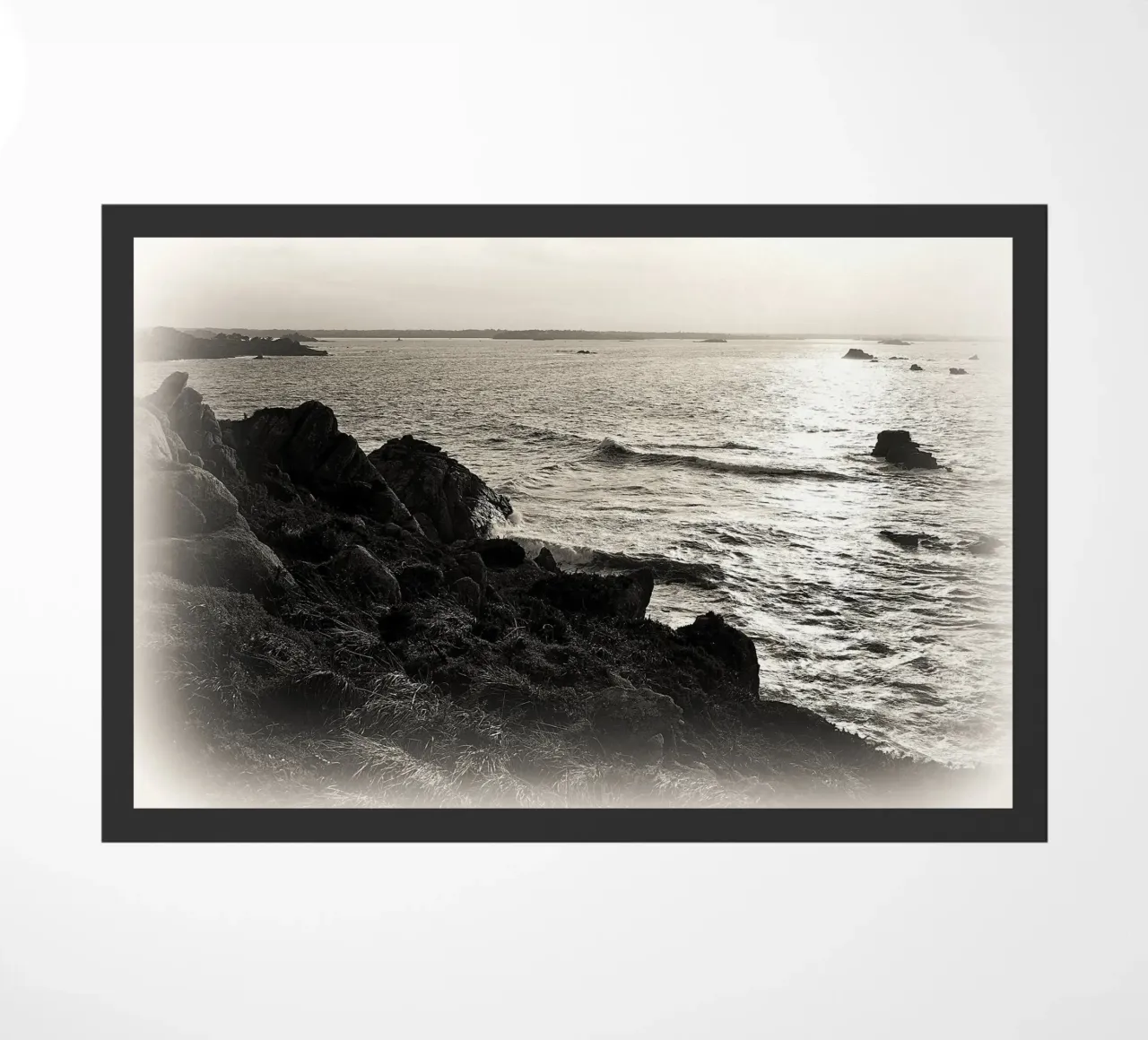 FAA118 zerbino da Thierry vobmann photography