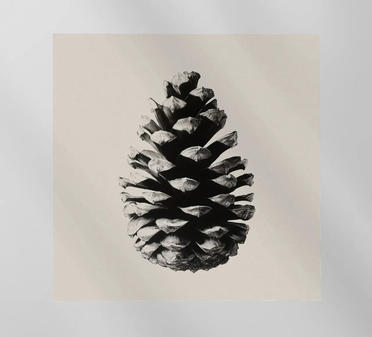 Pine Cone pellicola backlit da treechild