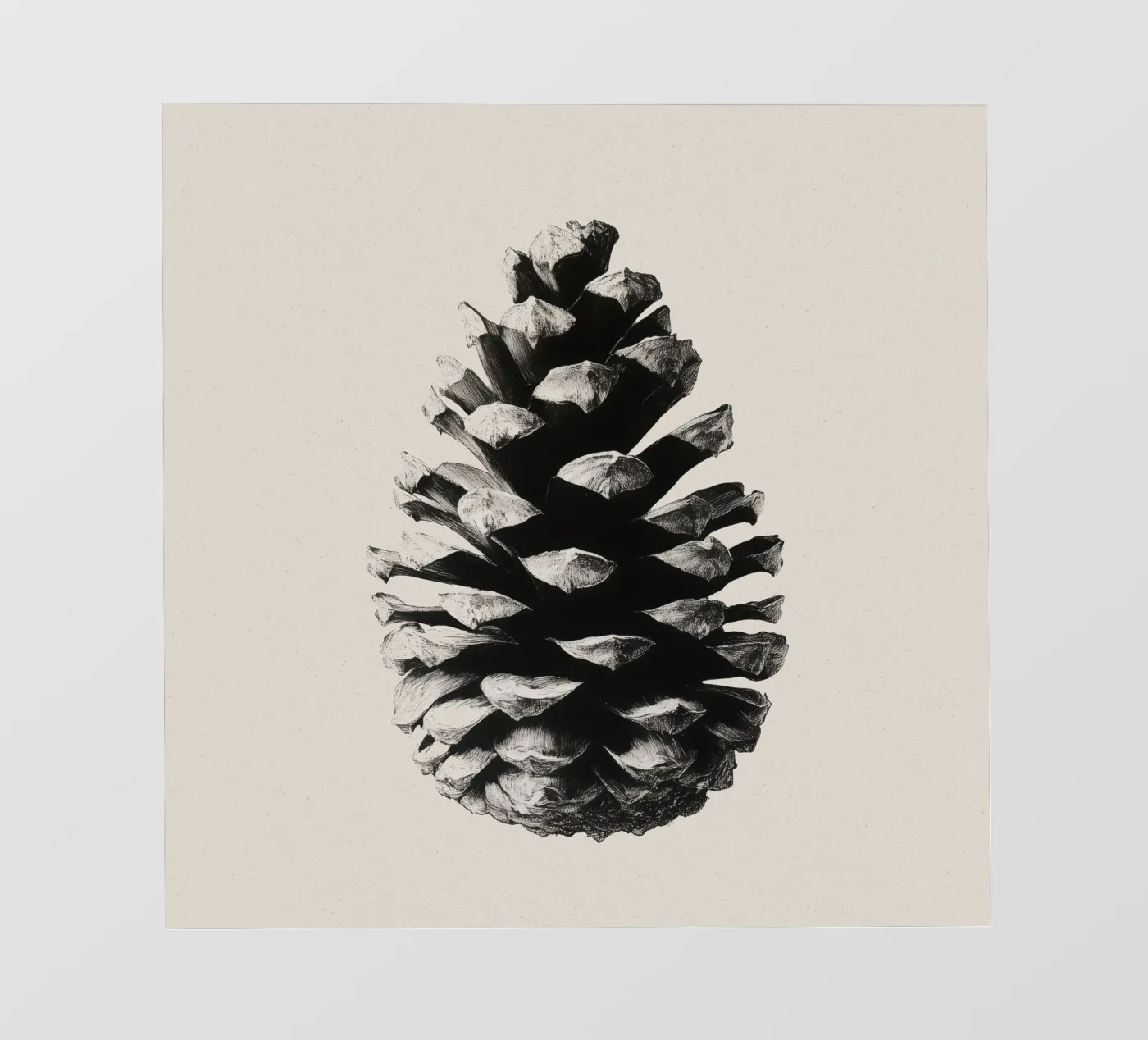 Pine Cone pellicola backlit da treechild