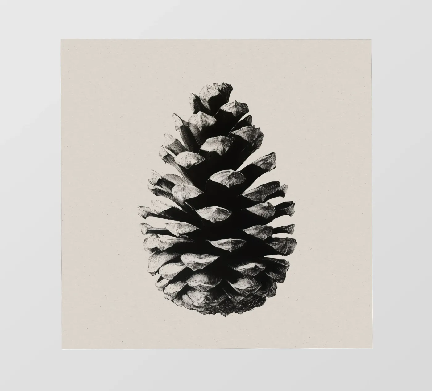 Pine Cone pellicola backlit da treechild
