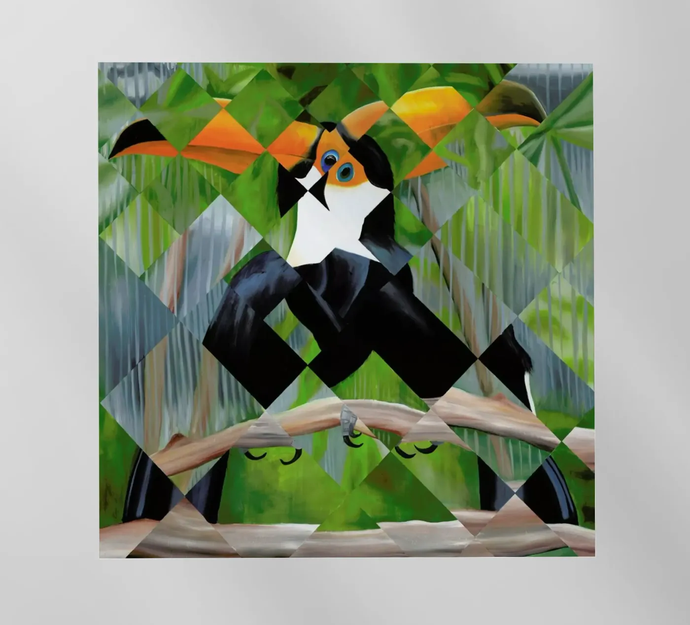 Toucan pellicola backlit da Allison Chaplin