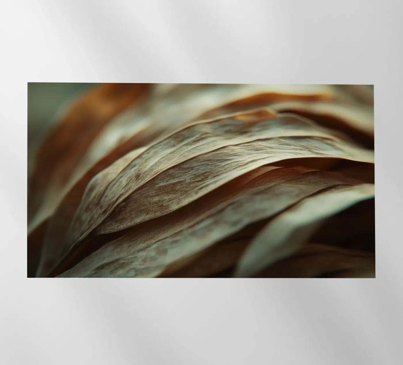 Dry Leafs pellicola backlit da treechild