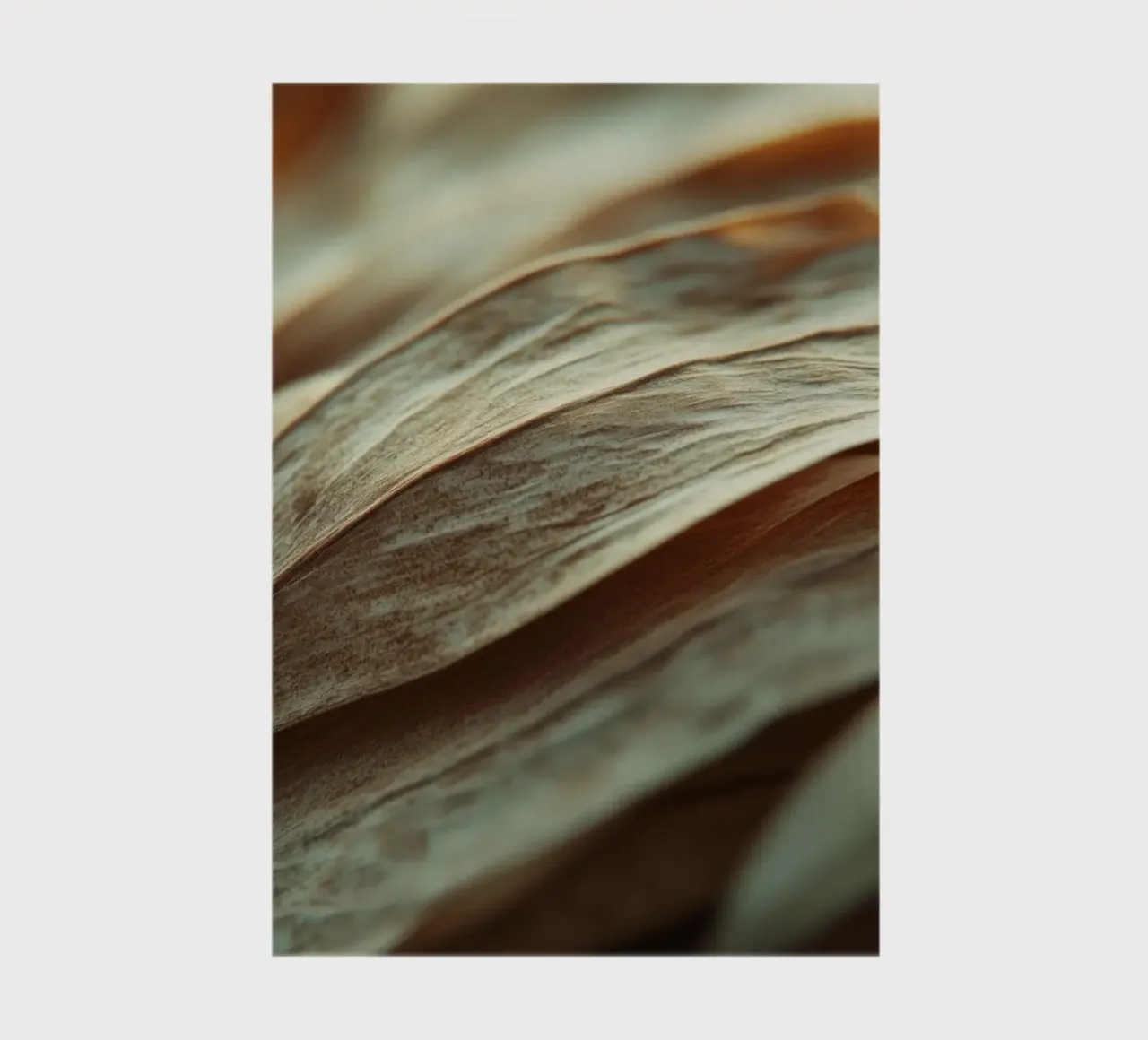 Dry Leafs notebook by treechild