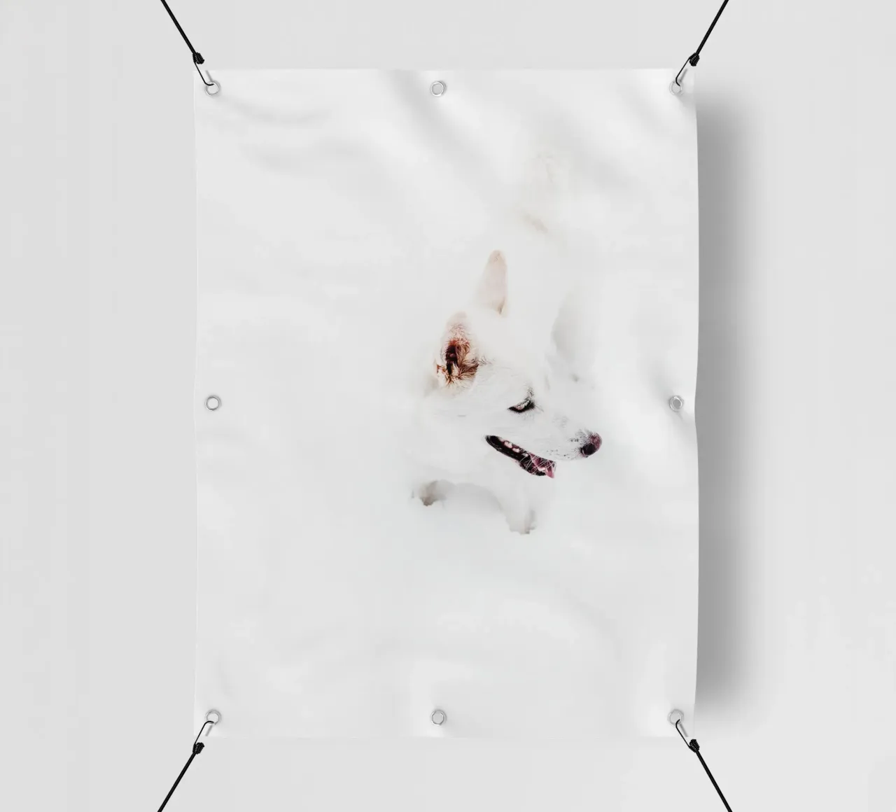 Cane bianco nella neve telo in pvc da Whole©