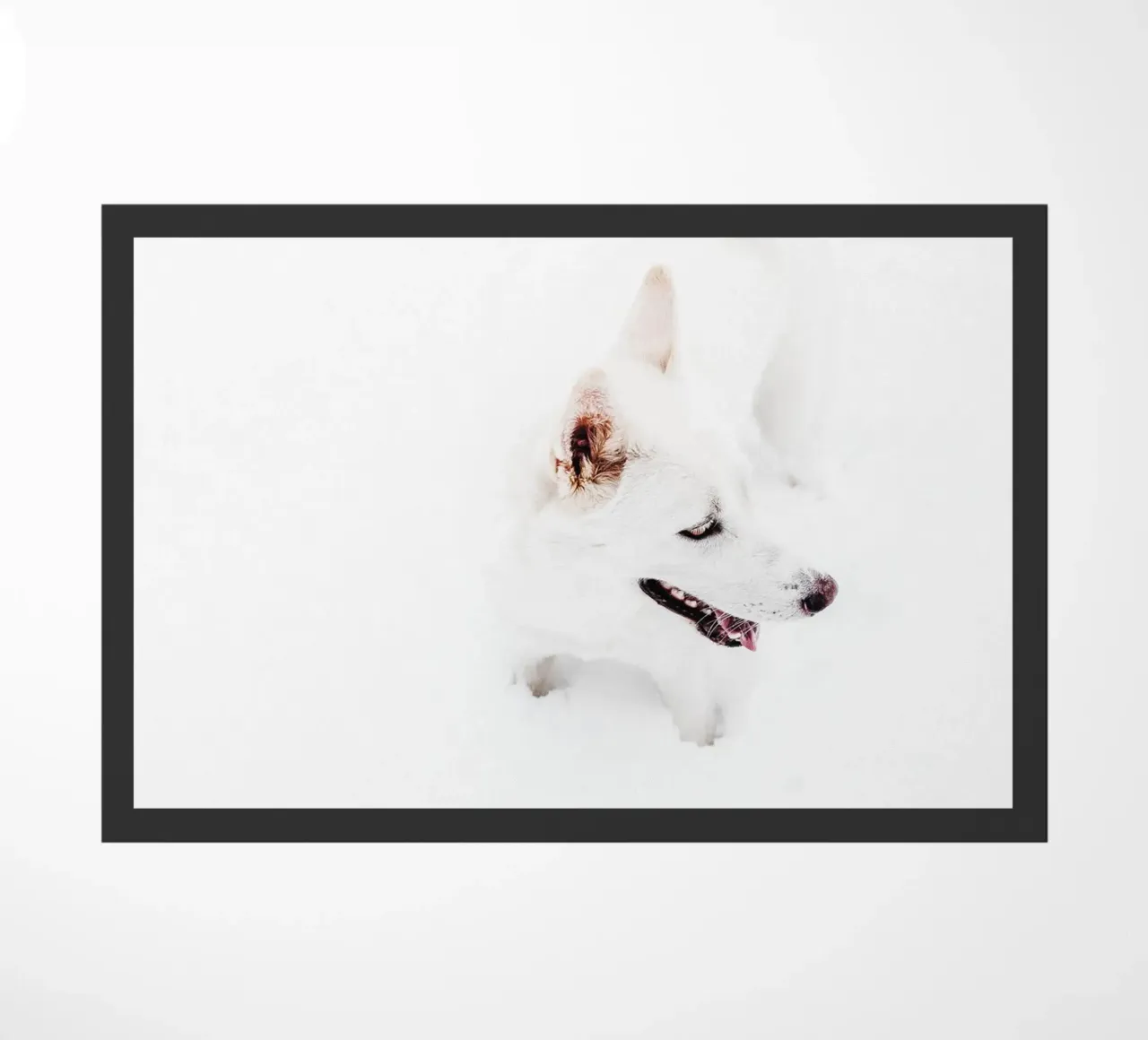 Cane bianco nella neve zerbino da Whole©