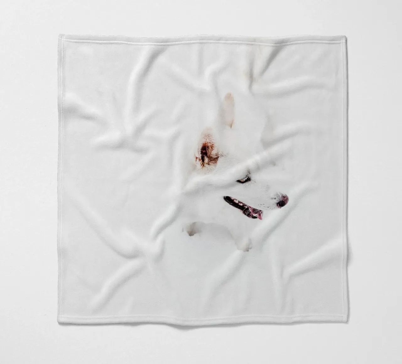 Cane bianco nella neve coperta in pile da Whole©