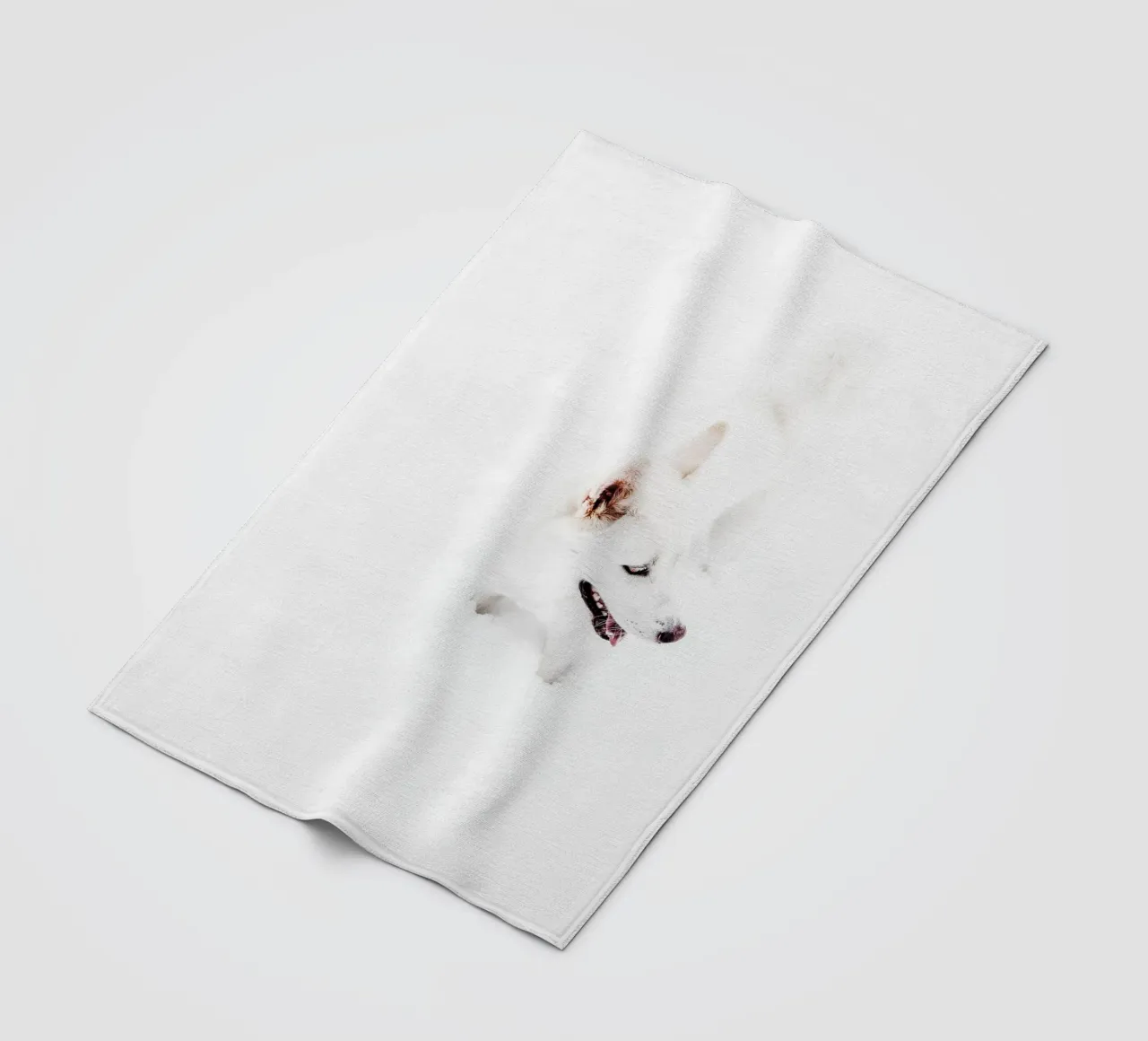 Cane bianco nella neve coperta in pile da Whole©