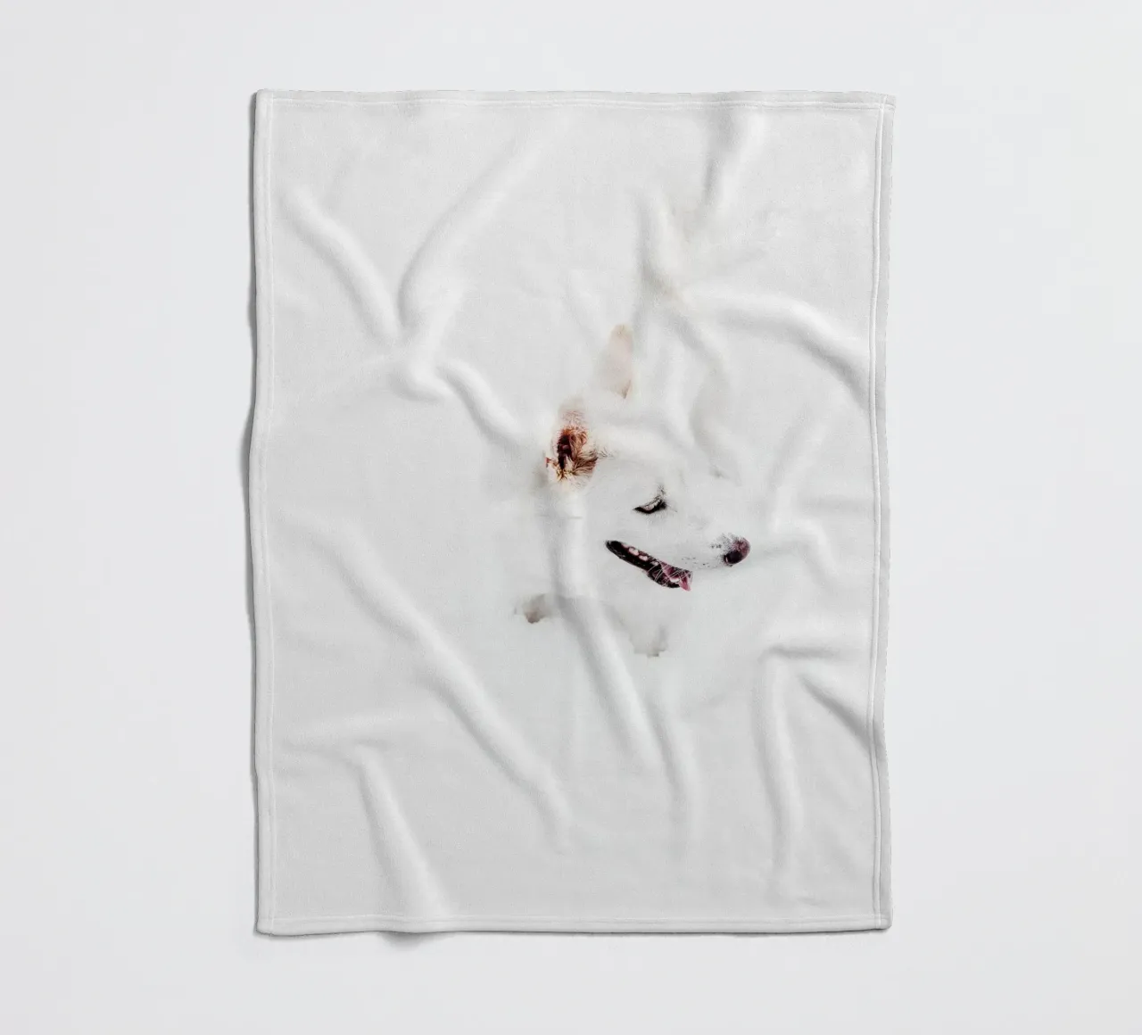 Cane bianco nella neve coperta in pile da Whole©