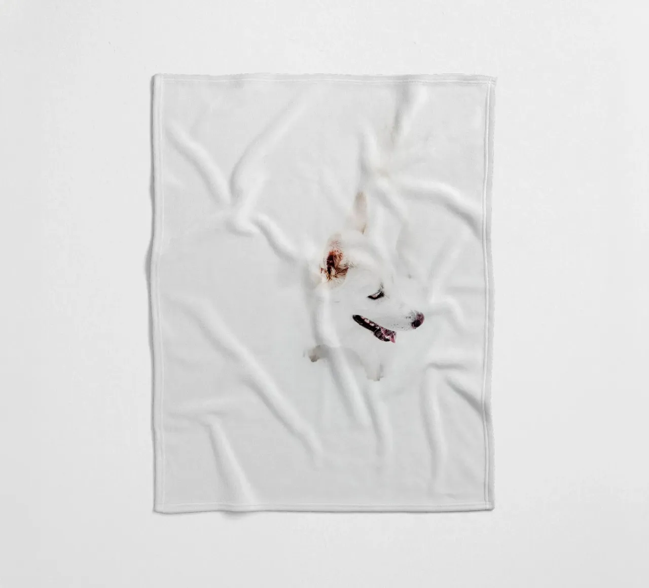 Cane bianco nella neve coperta in pile da Whole©