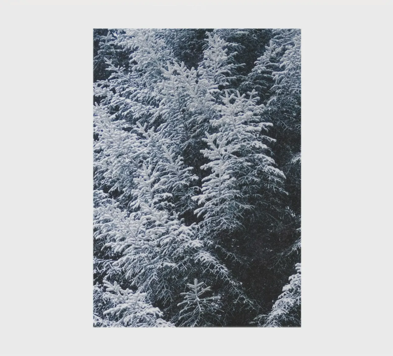 Snow-covered fir trees nature design notebook by Whole©
