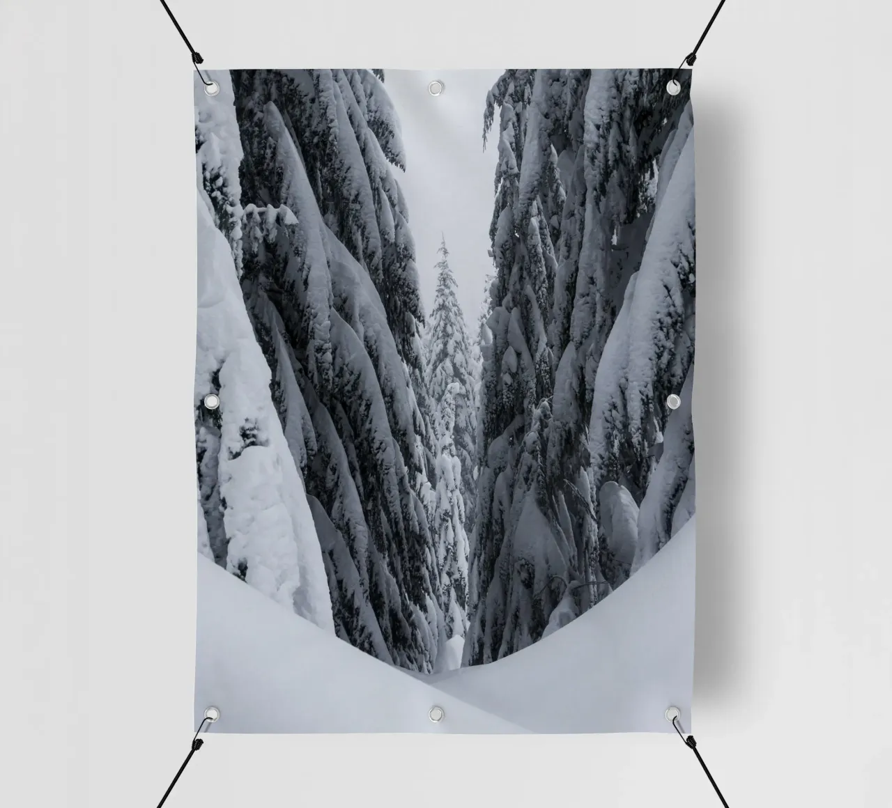 Winter forest trail nature design pvc cover by Whole©