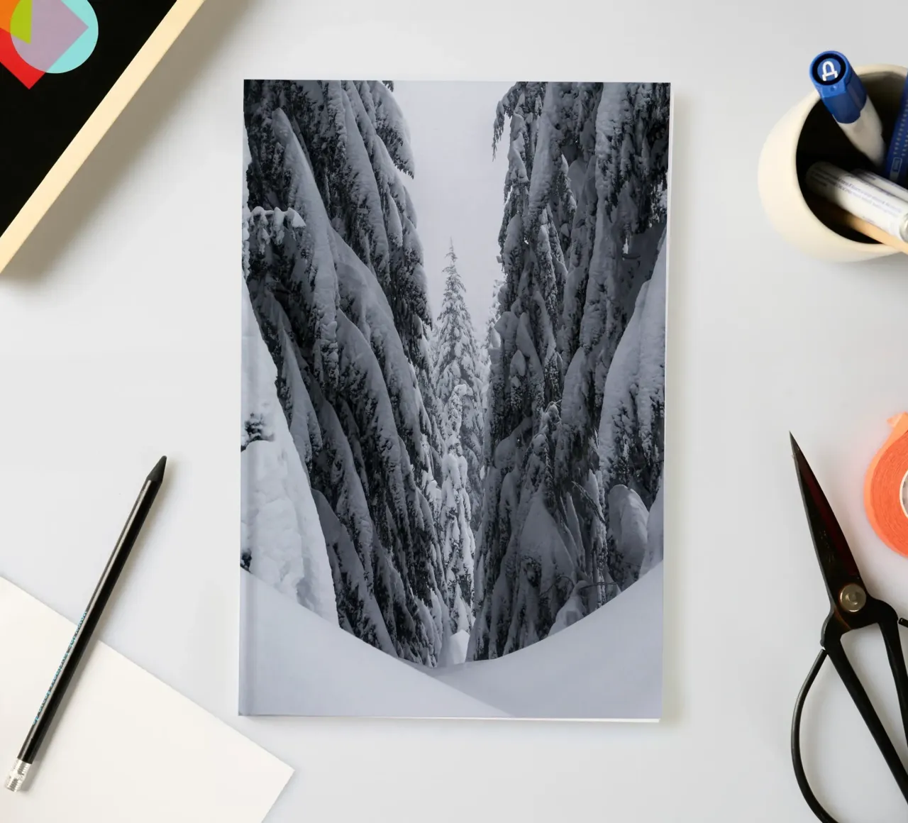Winter forest trail nature design notebook by Whole©