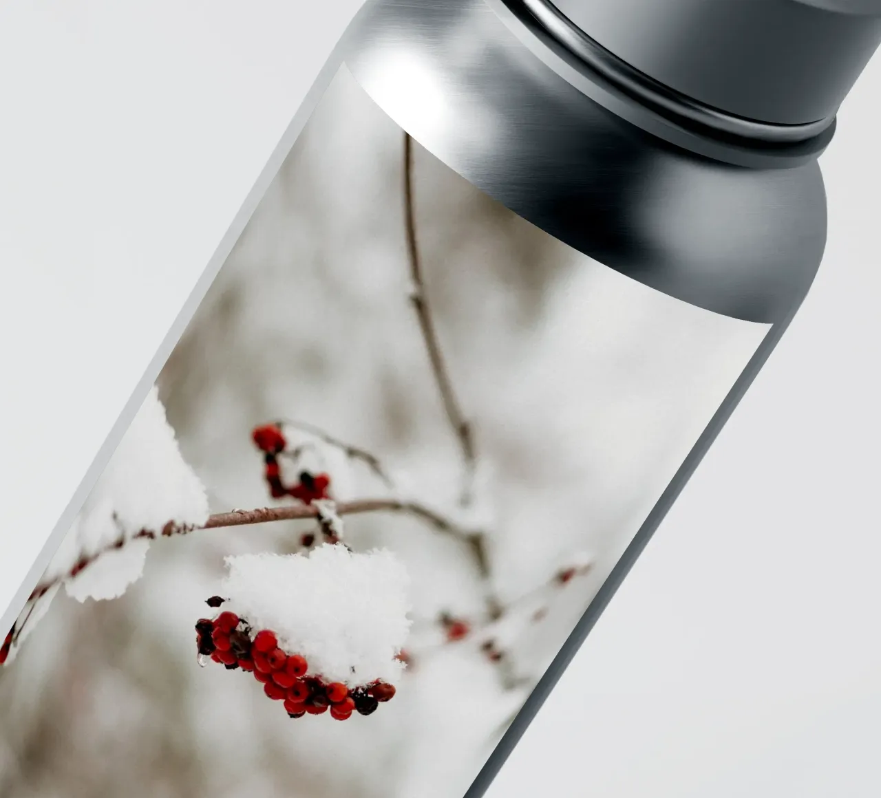 Red berries in the snow sticker by Whole©