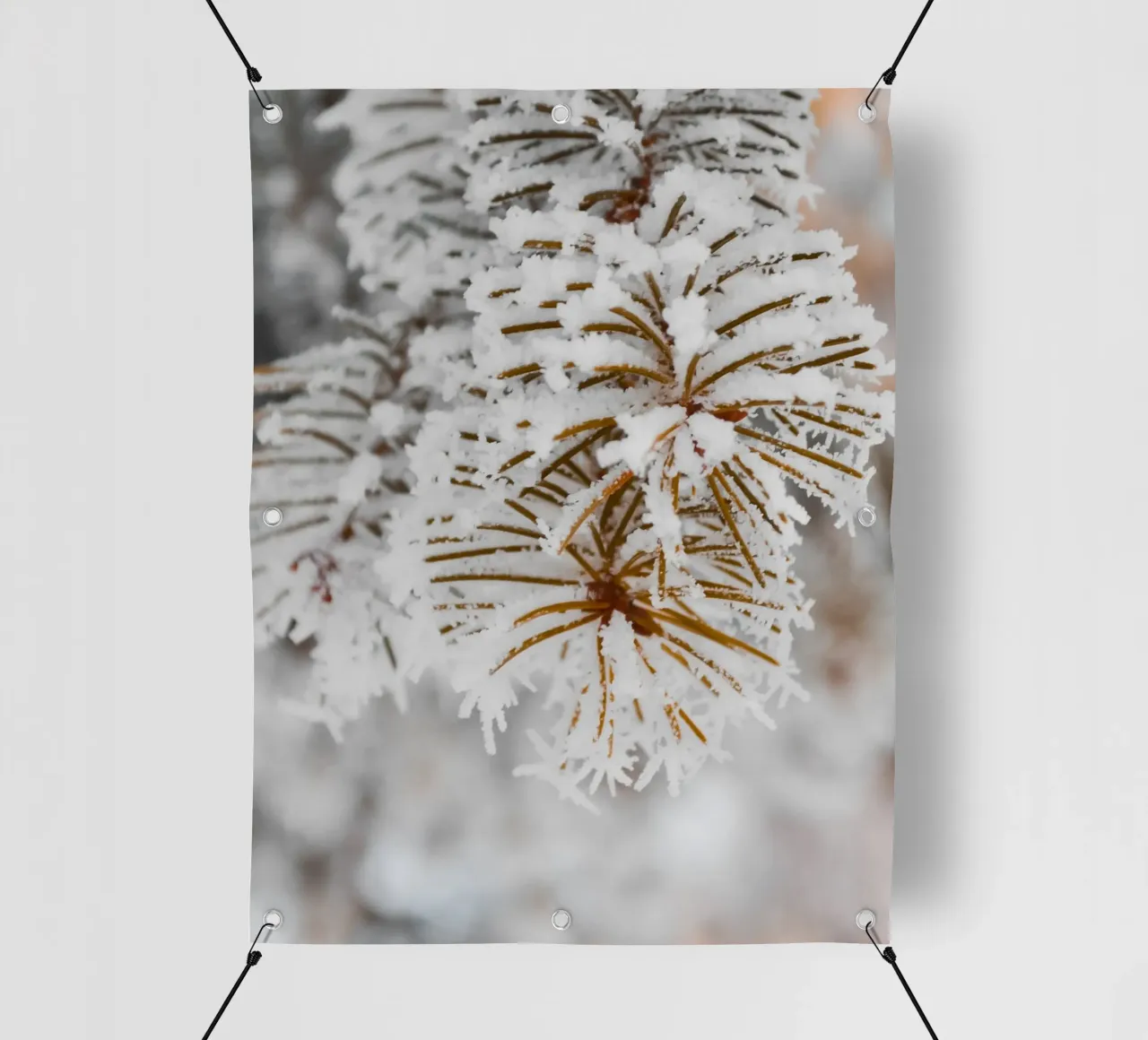 Design con rami di abete innevati telo in pvc da Whole©