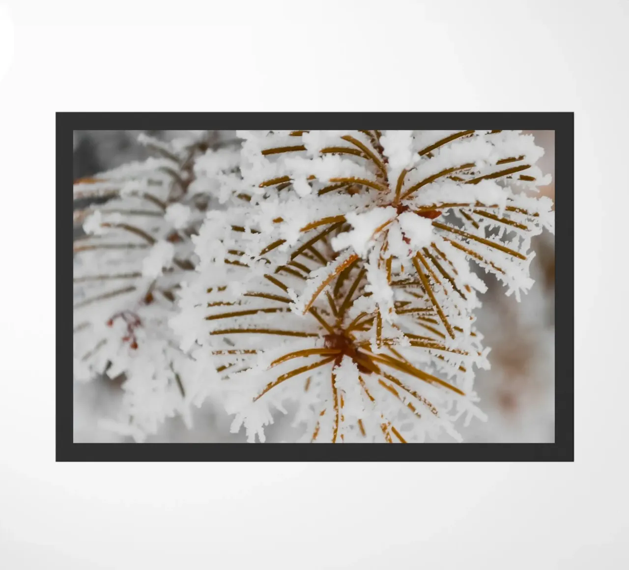 Design con rami di abete innevati zerbino da Whole©