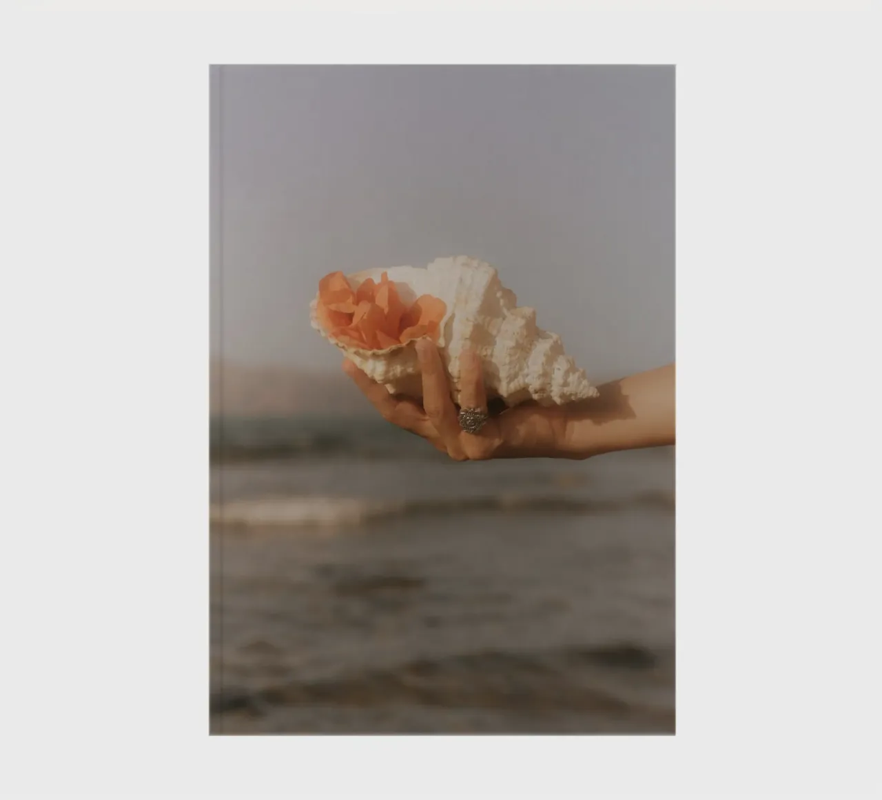 Shell in Bloom diario da dharmanadia