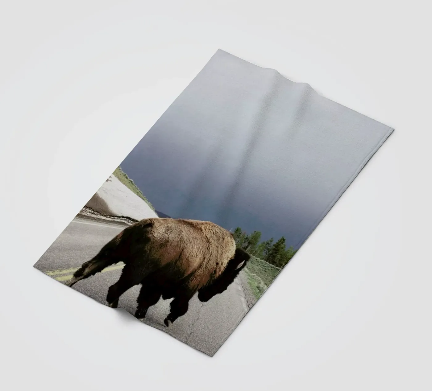 Street Walker Fleecedecke von Kevin Russ