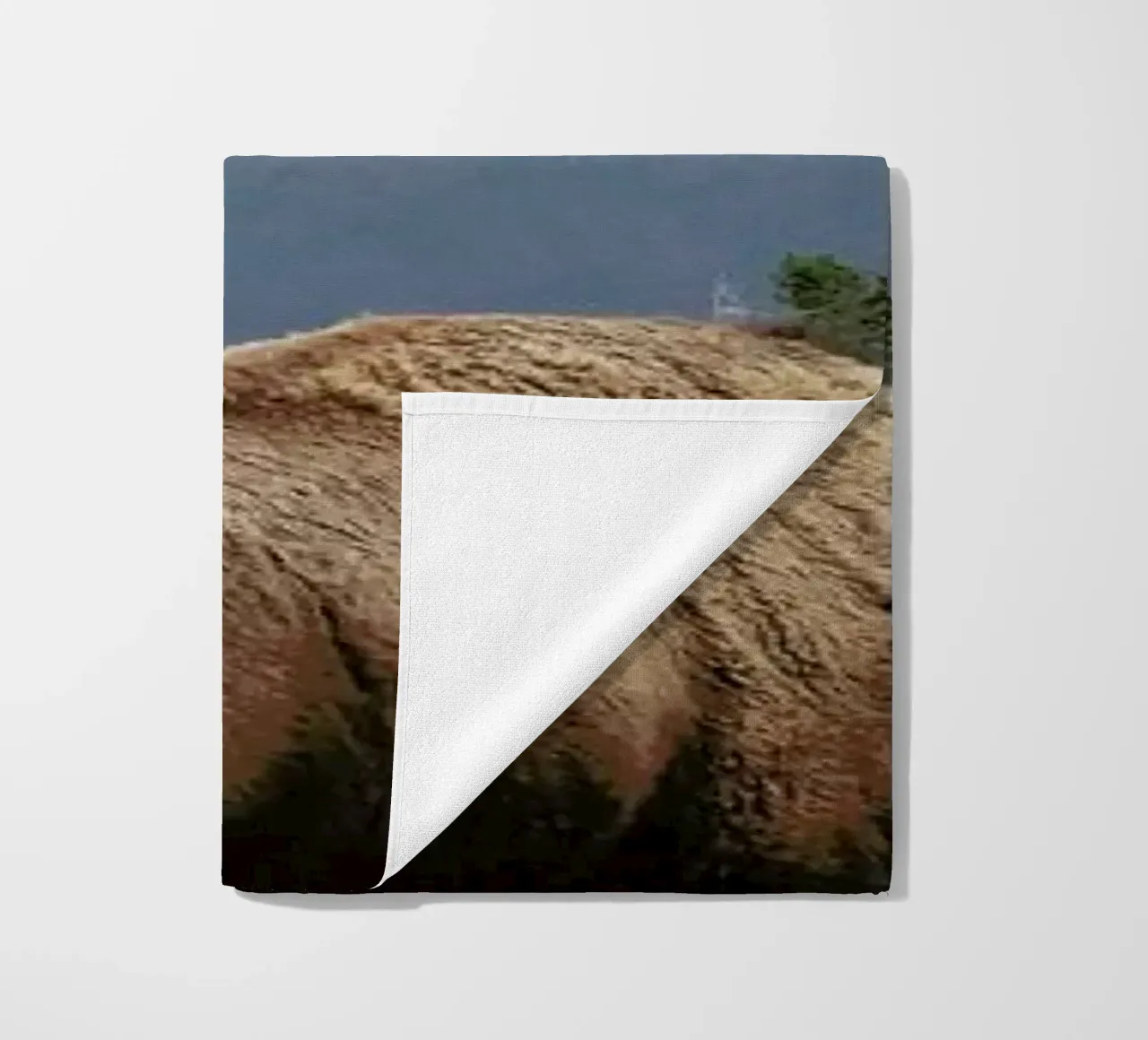 Street Walker telo mare da Kevin Russ