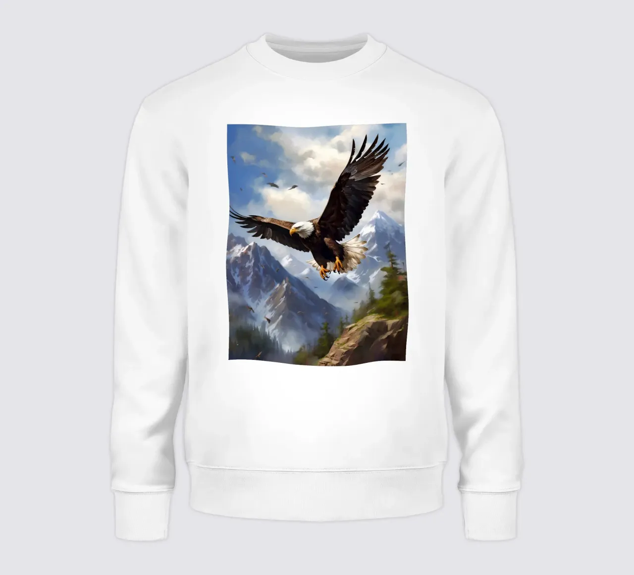 Eagle Mountains felpa da Mateo