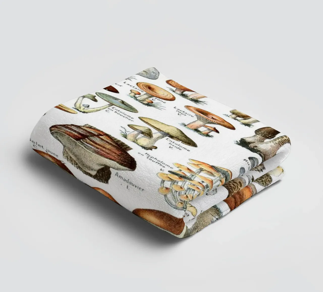 Kitchen art french vintage mushrooms art food print towel by Studio Vintage